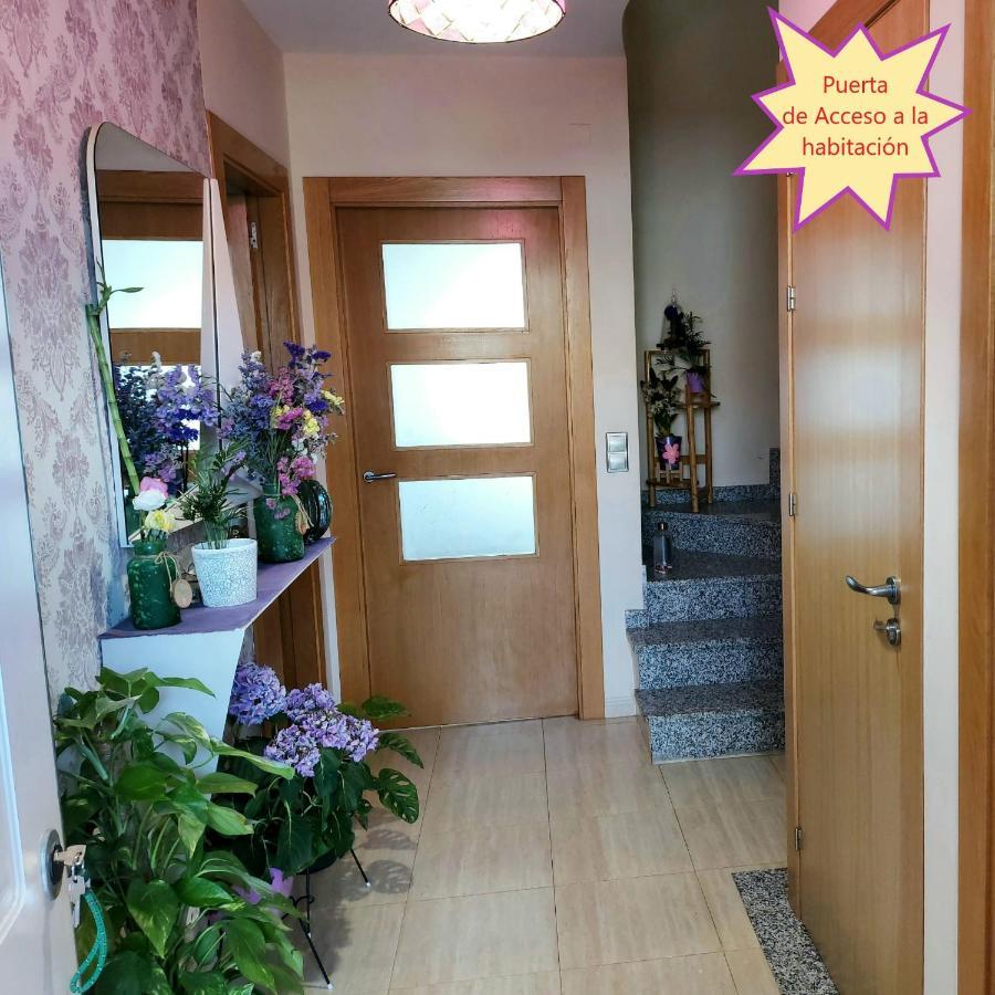Guest house En Torrecardenas, Privada Con Terraza